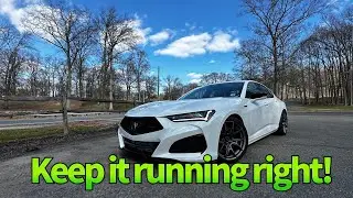 Руководство по обслуживанию Tlx Type S