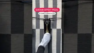 Sustain Pedal | Pickup Music