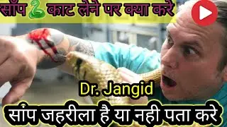 Snake bite in India// Identify Toxic or Not #snakebite #dog #treatment