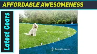 Беспроводной забор PetSafe: это ЛУЧШИЙ способ обеспечить безопасность вашей собаки?
