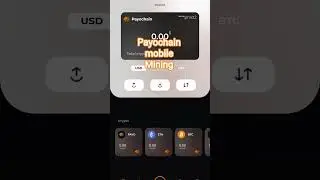 #payochain #payo #btc #usdt #cryptocurency #viral