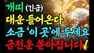 🔥 [개띠 필독] 2026년, 이거 안 하면 돈 다 샙니다 ⚠️｜소금 풍수 재물 비법 🧂💰