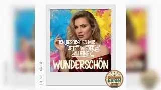 Felene Hischer - Ich besorg' es mir jetzt wieder alleine (Wundersch&ouml;n)