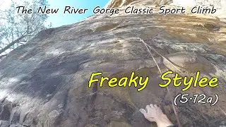 The Famous New River Classic - Freaky Stylee