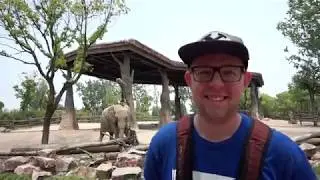 The One Where We Go To Shanghai!