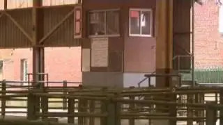 Forges-les-Eaux : Un repreneur pour l'abattoir