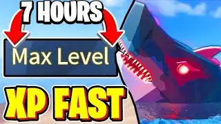 THE BEST WAY TO GET XP FAST IN FISCH