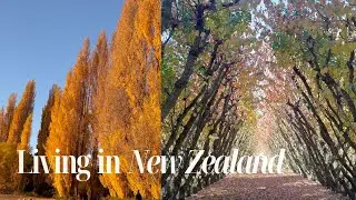 Autumn in Queenstown Part 1 :) | Living In New Zealand