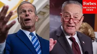 Chuck Schumer Asked Point Blank About His Approach To Working With The New Senate GOP Leadership