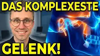 So klein und doch so OHO! Das komplexeste Gelenk des K&ouml;rpers 🦷 | Kiefergelenk-Analyse