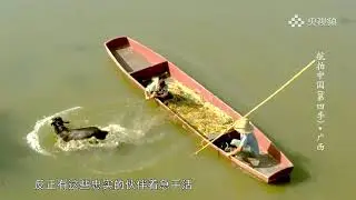 广西 @ 航拍中国 Aerial China
