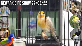 EMBBA Newark Bird Show March 2022