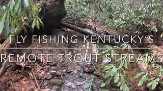 Fly Fishing Kentucky's Red River Gorge &mdash; Small Stream Trout Fishing