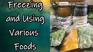 Kitchen Tips & Tricks #4 Freezing and Using Various Foods