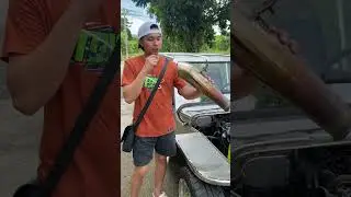 Lmtless Scav 18 inch