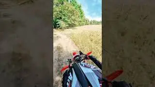 #saptecoline #motorcycle #honda #crf300l #music #enduro #dirt #forest #ride #group #fun #adventure