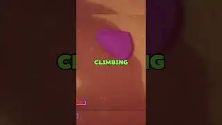 Как подняться на #пик, не теряя выносливости, с #плитчем 🧗&zwj;♂️