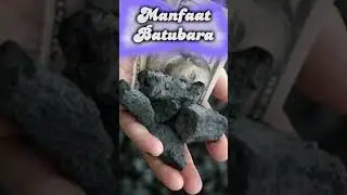 Manfaat Batubara #shorts #subscribe #youtuber #youtube #subscriber #viral #sehat