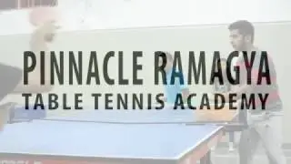 Pinnacle video