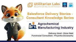 Salesforce Delivery Stories - Consultant Knowledge Series | Utilitarian Labs