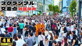 🙏Even Buddhist Monks from Across Asia Are Captivated by Shibuya Crossing!! in Tokyo Japan 2025 4kHDR