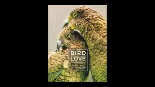 Bird Love: The Family Life of Birds (Science on Tap livestream show)