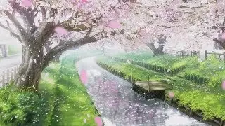 Beautiful Relaxing Music - Healing Sleep Music & Relaxing Piano Music
