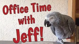 Office Time with Einstein and Jeff