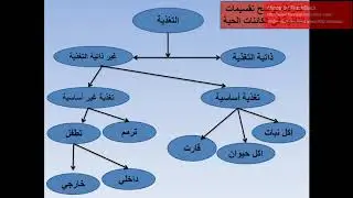 الدرس الأول للصف السابع (التغذية )