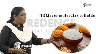 Particle Size Of Colloidal Solution | Class 12 Chemistry | Unit-5 Surface Chemistry