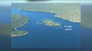 Idaho sells part of Cougar Island on Payette Lake