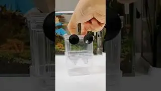 Aquarium Breeder Box for Small fishes| Aquarium fish Separator