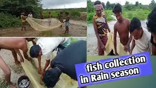 fish collection in rain season @MasterSantoshVlogs