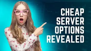 Budget-Friendly Hosting Solutions: Unveiling the Cheap Dedicated Server Options - Raksmart