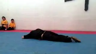 Drunken Kung Fu and Sober Sword Shi Yan Hong Shaolin Kung Fu