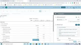 5 SAP SAC Top Down Planning