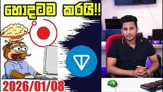 RENDER , TON හොදටම කරයි!!!Crypto Market Update By ROG CRYPTO | Crypto Sinhala Update