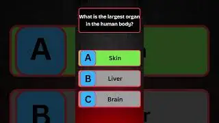 Human Body Quiz! #shortsfeed #quiz #humanbodyfacts #quizchallenge #shorts #youtubeshorts #ytshorts