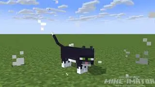 Morph cat (Mineimator)