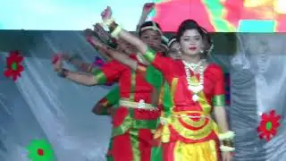 Best dance performance of Sapience School Annual day 2018