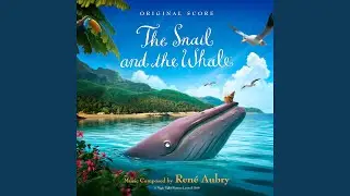 The Mission