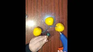Limonla saat, kalkulyator işlətmə, elektrik cərəyanı əldə etmə. (Lemon battery electrical circuit)