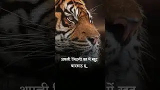 Single Boy Attitude Status🔥|Trending Shayari Status | Only one Like ❤