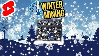 Hows the Crypto Mining Shed Handling WINTER Weather?!
