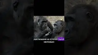 сериал : Два холма , серия 1 , часть 17