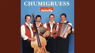 Schoggi Chueche