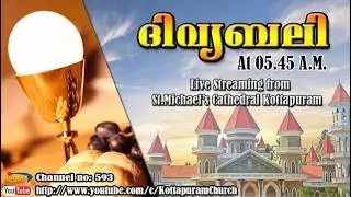 Live Holy Mass, (Malayalam) from St. Michael's Cathedral, Kottapuram 06/02/2026