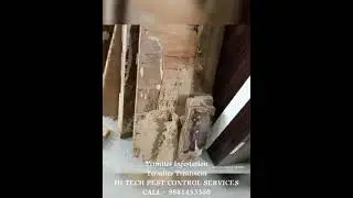 #pestcontrol #parbhani #parbhaninews #latur #udgir #nanded #hingoli #pusad #gangakhed #music #song