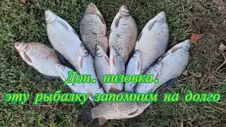 Дон. Каплица. Рыбалка на затопленной территории с отличным результатом. Сазан, лещ, рыбец, карась.