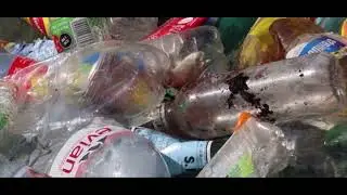 Global Plastic Pollution Awareness Video
